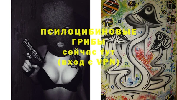 дурь Алексеевка